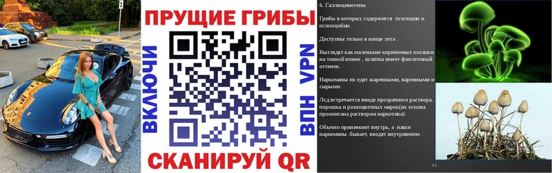 цены наркотик  Мамадыш  Галлюциногенные грибы Magic Shrooms 